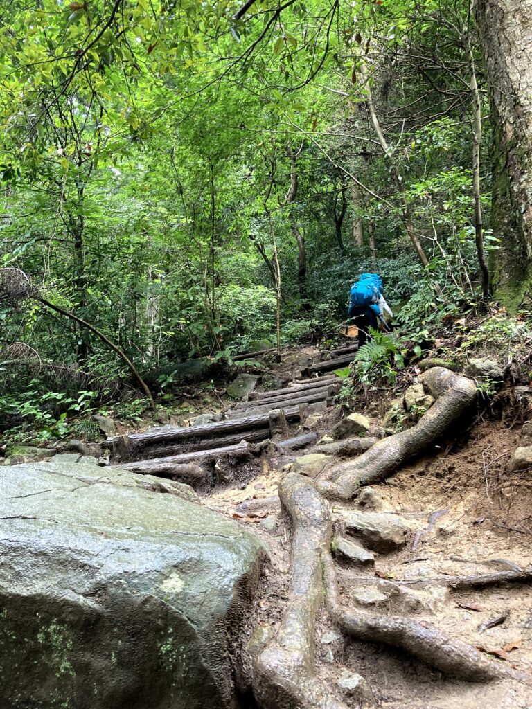 御幸ヶ原コース登山の様子
